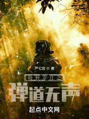 特种岁月之弹道无声